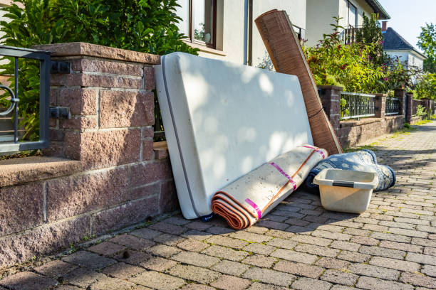 Best Same-Day Junk Removal  in Wooster, AR